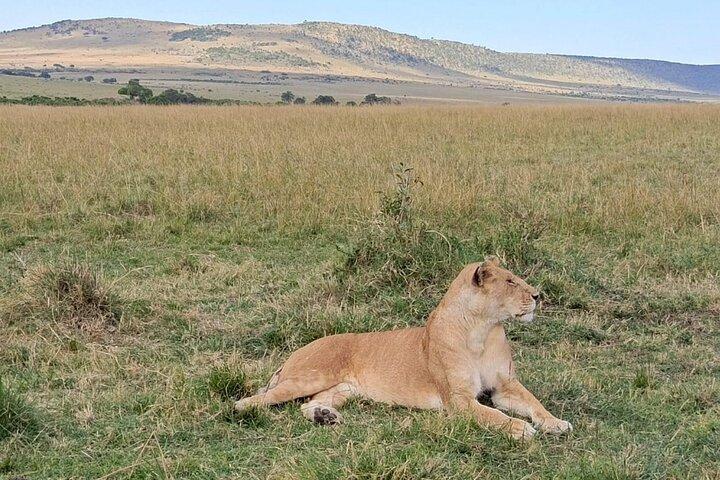 3 Tage Samburu National Reserve Tour