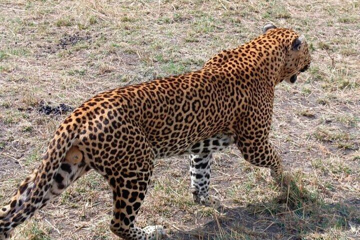 3 Tage Samburu National Reserve Tour