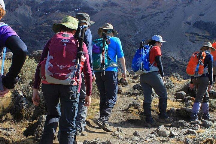 Wandeling naar Shira Plateau op Mount Kilimanjaro Begeleide FullDay Tour
