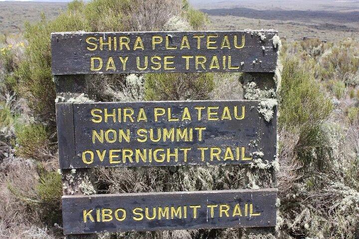Wandeling naar Shira Plateau op Mount Kilimanjaro Begeleide FullDay Tour