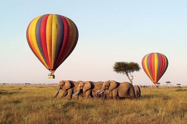 6 Days Group Safari in Mara, Nakuru and Amboseli, Upgraded lodges