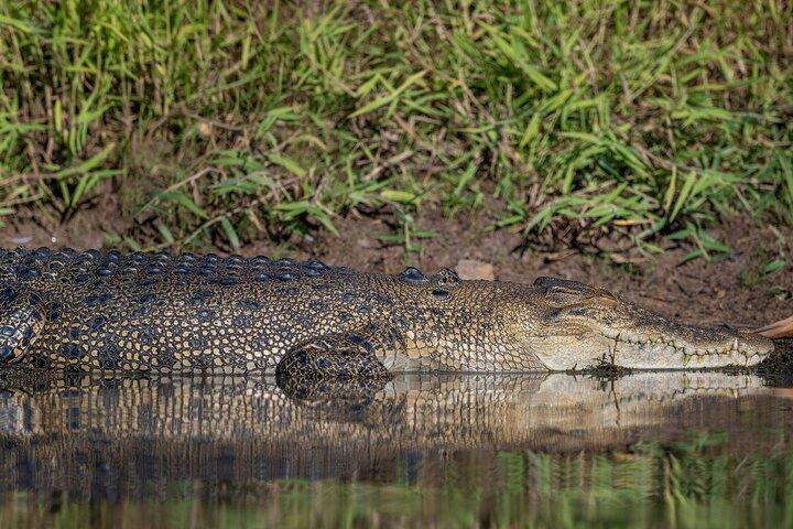 Tour nocturno por el Parque Nacional de Kakadu + crucero al atardecer en aguas amarillas