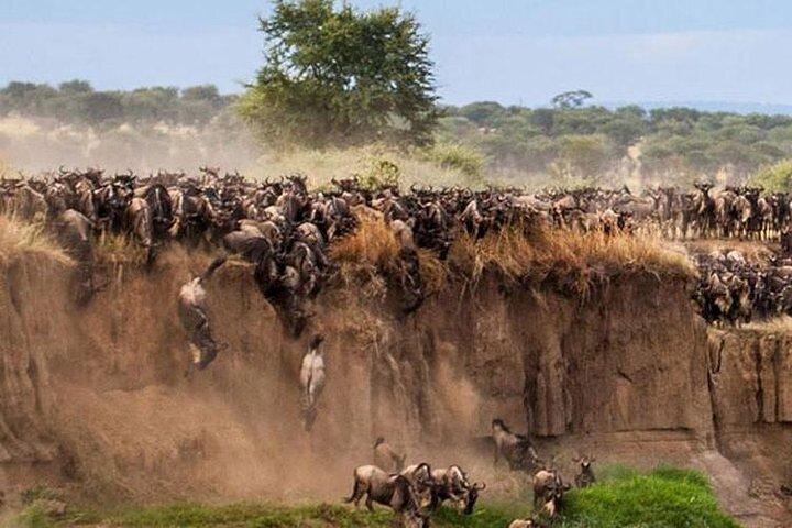 Safari de 7 días en grupo. Mara, Nakuru y Amboseli en resorts mejorados