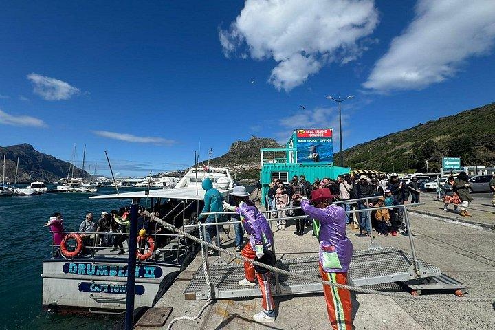 プライベート ツアー : ケープ半島とペンギン ビーチ、ケープ ポイントなど