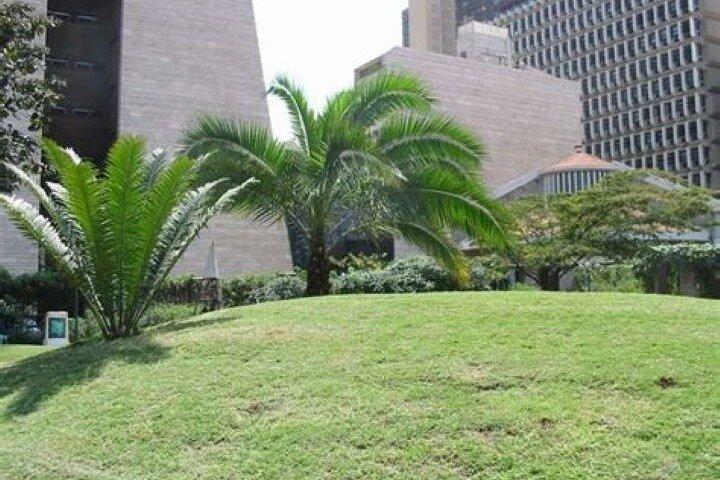 ナイロビ市内中心部への日帰りツアー