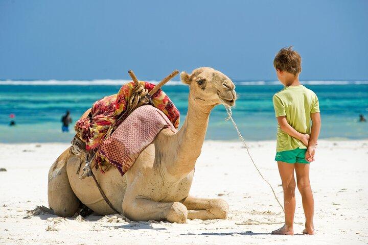 Tangeri city break : Scenic Drive e Camel Trek