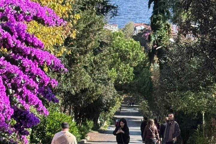 Istanbul Island Tour with Lunch