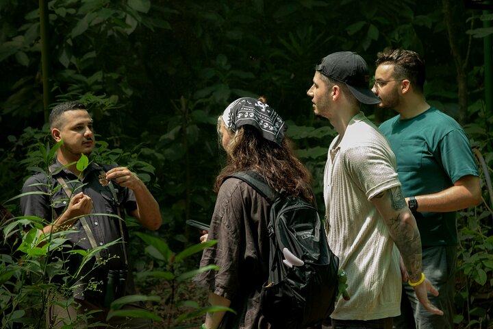 La Fortuna Night Tour - Privat