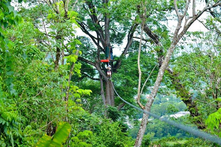 Phuket Jungle Xtreme Adventure
