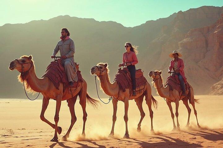 Sharm El-Sheikh: Caminhada de camelo, Stargazing, Jantar de churrasco e show