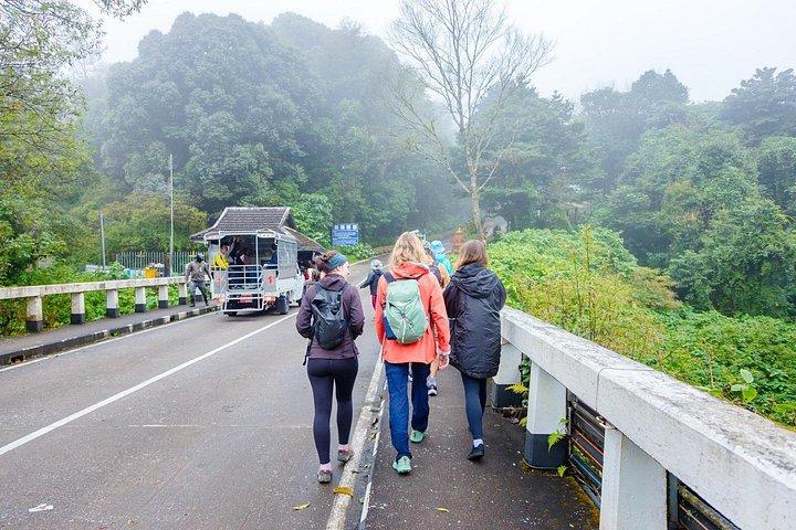 ドイ インタノン国立公園、滝、チェンマイからのロイヤル プロジェクト デイ ツアー