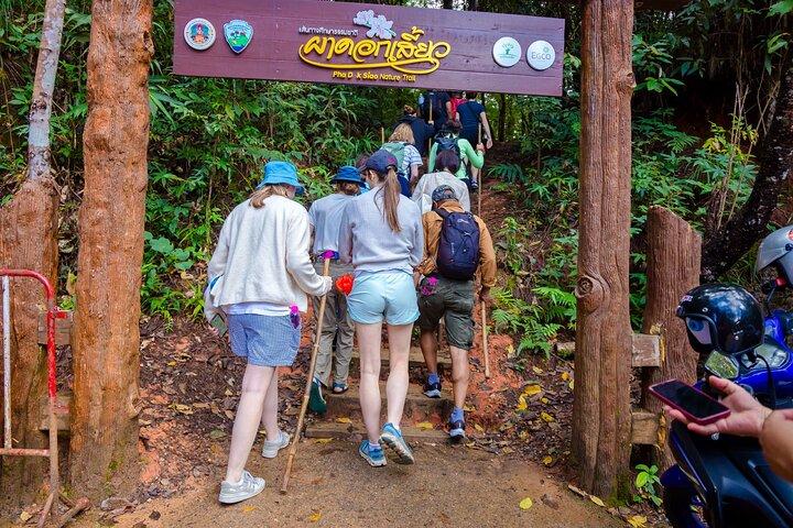 チェンマイ発、パー ドック シーウ ネイチャー トレイル＆ドイ インタノン国立公園