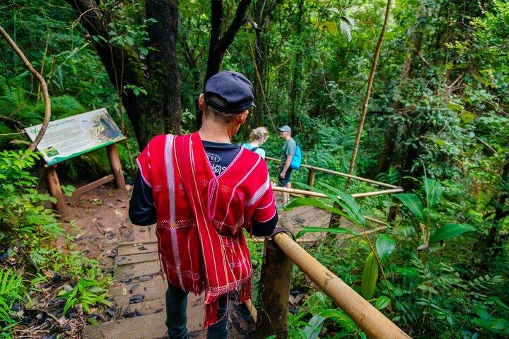 チェンマイ発、パー ドック シーウ ネイチャー トレイル＆ドイ インタノン国立公園