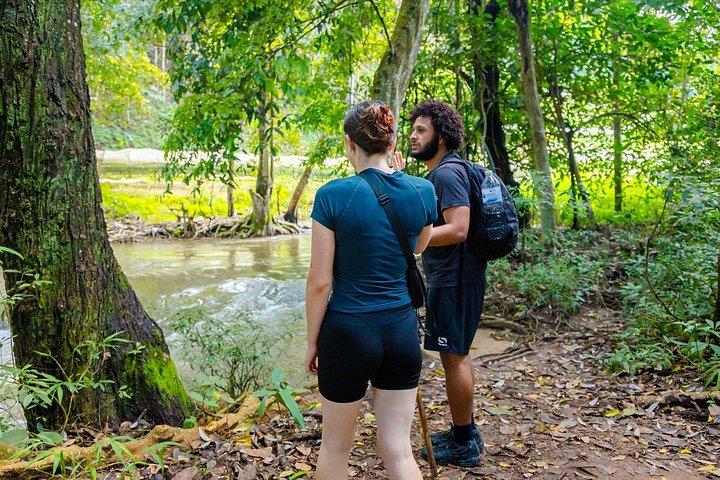 チェンマイ発、パー ドック シーウ ネイチャー トレイル＆ドイ インタノン国立公園
