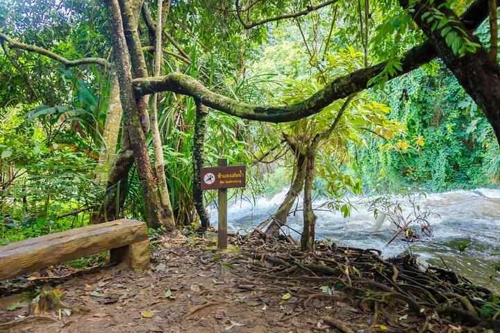 チェンマイ発、パー ドック シーウ ネイチャー トレイル＆ドイ インタノン国立公園