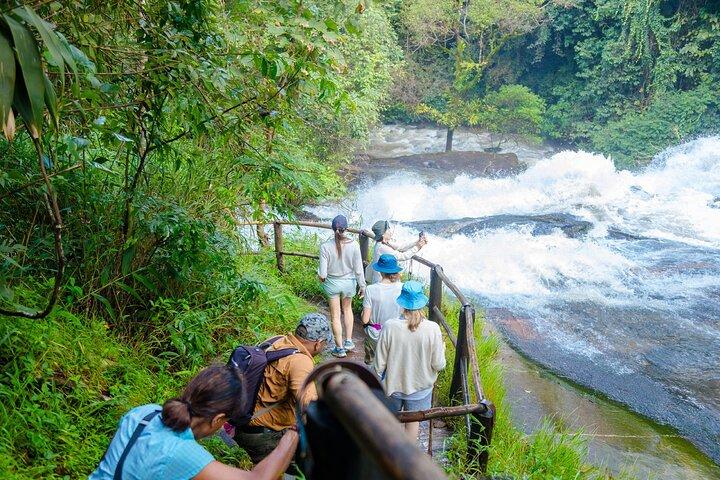 チェンマイ発、パー ドック シーウ ネイチャー トレイル＆ドイ インタノン国立公園
