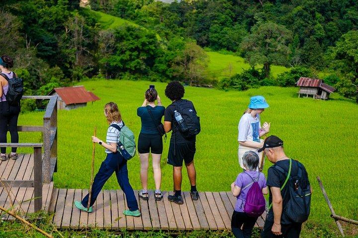 チェンマイ発、パー ドック シーウ ネイチャー トレイル＆ドイ インタノン国立公園