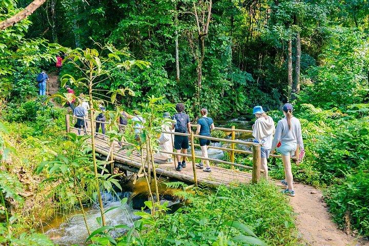 チェンマイ発、パー ドック シーウ ネイチャー トレイル＆ドイ インタノン国立公園