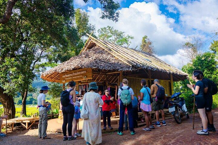チェンマイ発、パー ドック シーウ ネイチャー トレイル＆ドイ インタノン国立公園