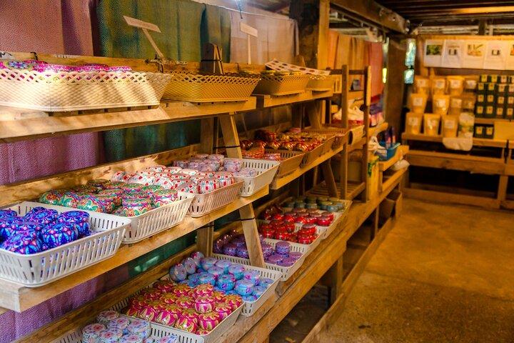 チェンマイ発、パー ドック シーウ ネイチャー トレイル＆ドイ インタノン国立公園