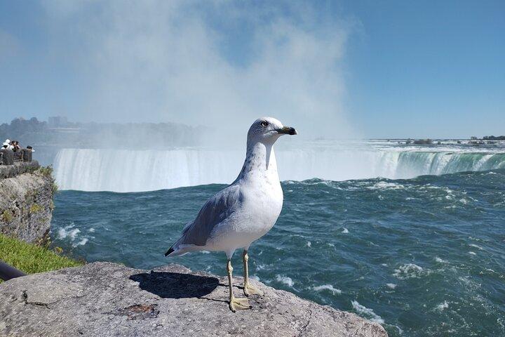 Niagara Falls Private Custom Tour from Toronto Area