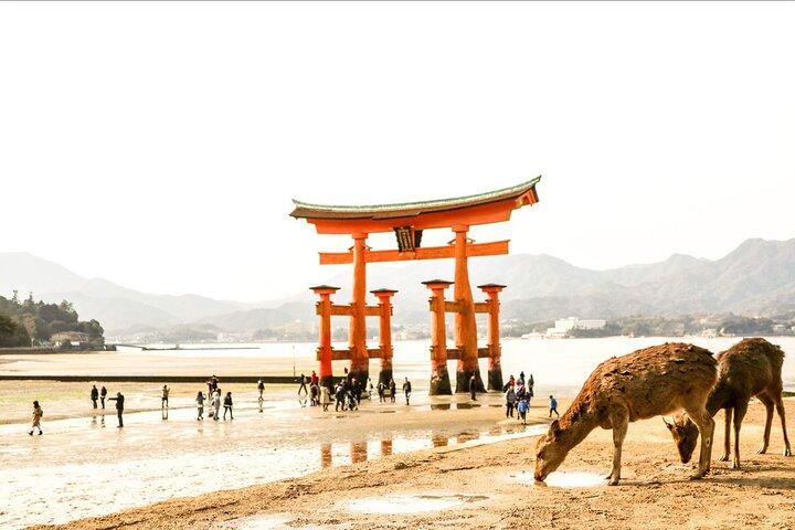 Tour privato a Hiroshima e Miyashima