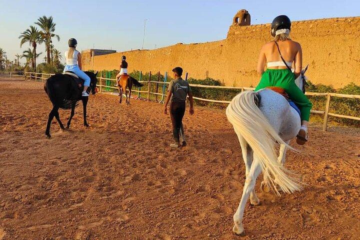 Marrakech äventyr en ridtur genom Palmeraie