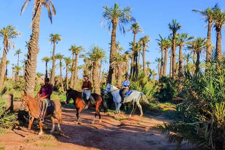 Marrakech äventyr en ridtur genom Palmeraie