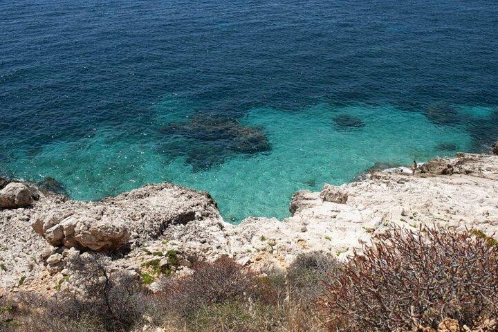 Egadi Shuttle Tour: The Beauties of Favignana and Levanzo