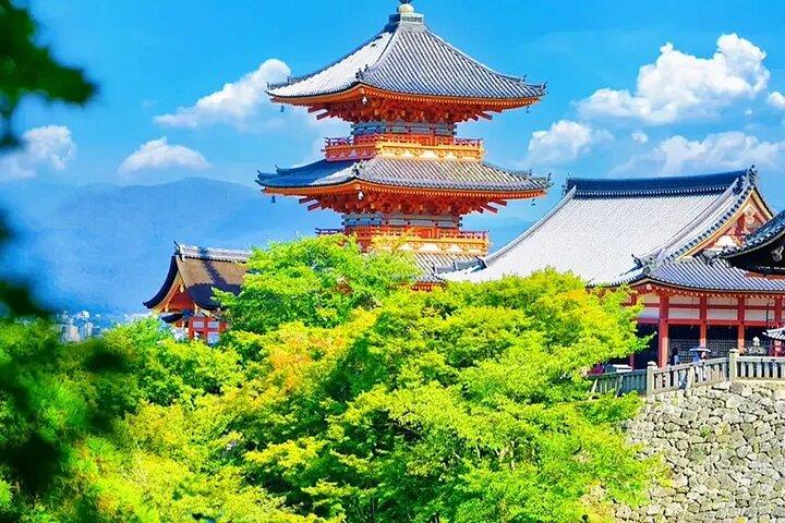 Kioto Nara Excursión a Kiyomizu-dera Templo Fushimi Inari y Parque Nara