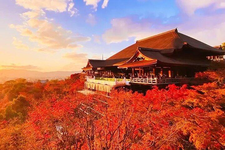 Kioto Nara Excursión a Kiyomizu-dera Templo Fushimi Inari y Parque Nara