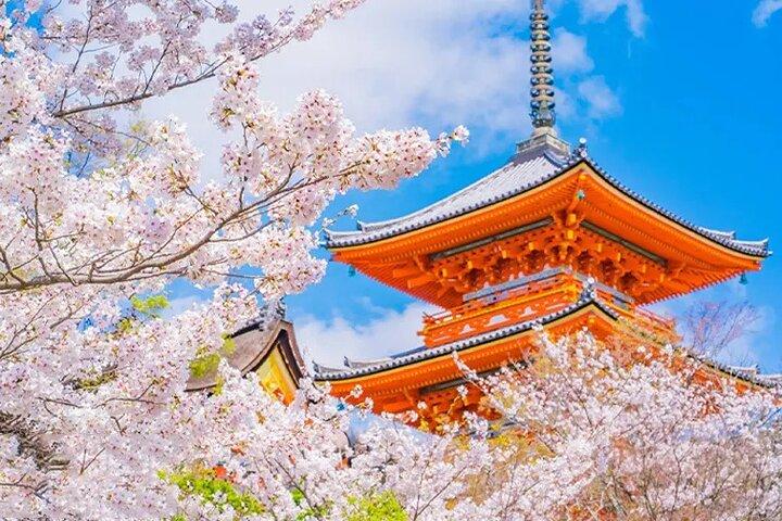 Kioto Nara Excursión a Kiyomizu-dera Templo Fushimi Inari y Parque Nara