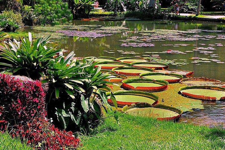 Rundvisning i Botanisk Have og Lage Park