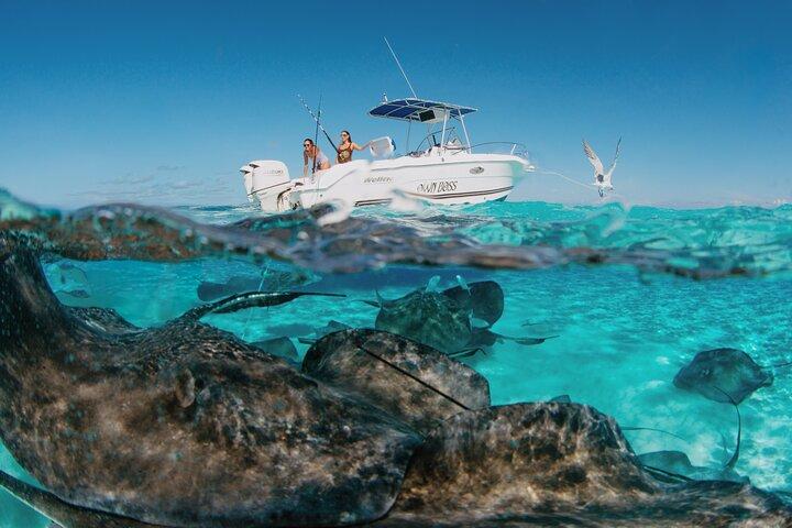 3 timers privat charter: snorkle, stingrays, bio
