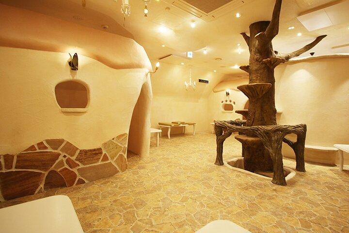 Hoteller i nærheden af Kichijoji - Castle Themed