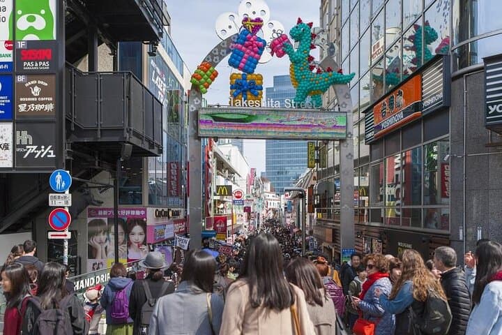 Private Tokyo Custom Half-Day Tour by Chartered Vehicle