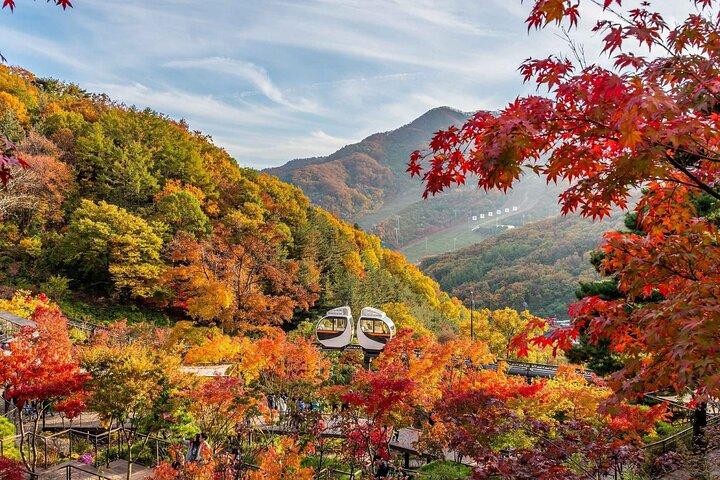 Visita al jardín botánico de Hwadam y a Namhansanseong y al pueblo folclórico