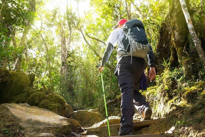 Kanching Waterfall Hot Spring and Kuala Selangor Firefly Tour