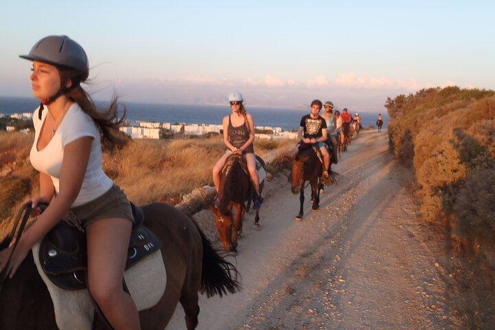Awaken to Paros: A Scenic Morning Horseback Ride