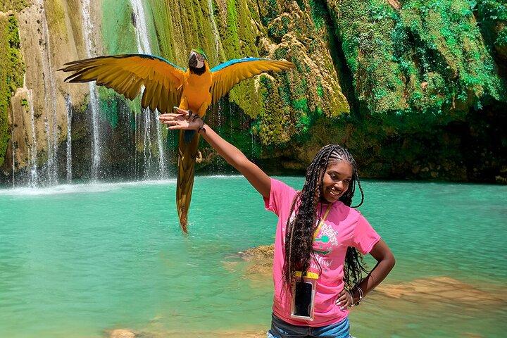 Avontuur in Samaná: El Limón-waterval