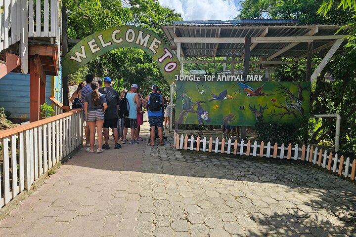 Roatan Horseback, Wildlife & Snorkel Combo