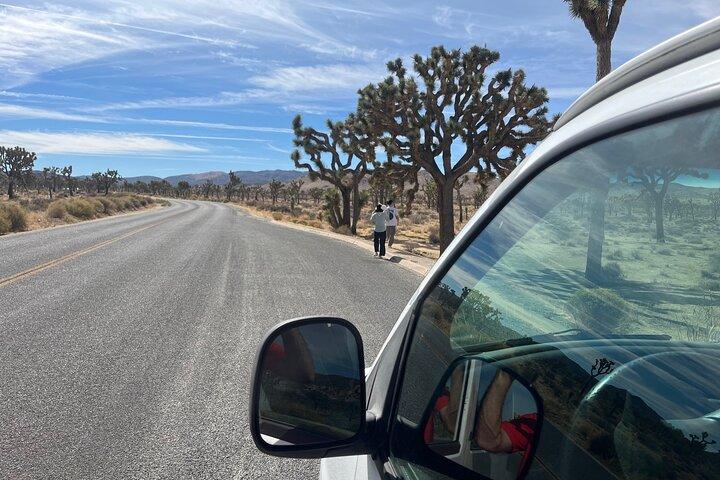 Privat sightseeing äventyrstur i Joshua Tree nationalpark