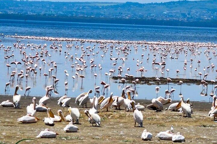 2-tägige Tour in Lake Nakuru, Hell's Gate und Lake Naivasha