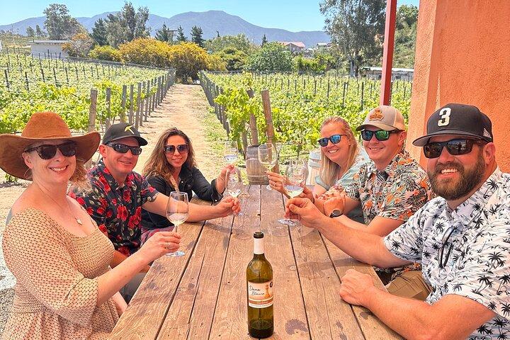 Private Ensenada Tacos und Weintour