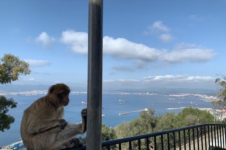 Tour a Gibilterra dalla Costa del Sol