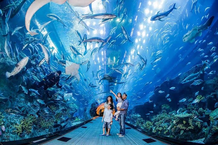Dubai Aquarium & Underwater Zoo Admission Ticket
