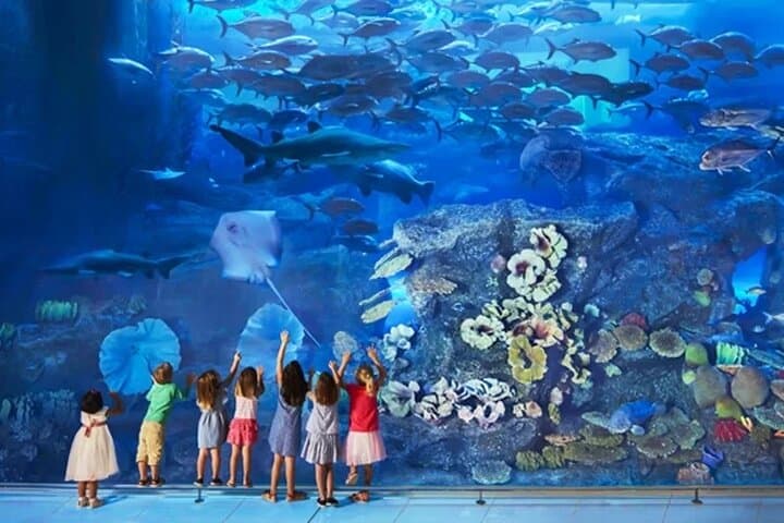 Dubai Aquarium & Underwater Zoo Admission Ticket