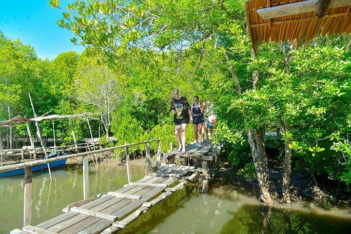 Excursion en bateau à longue queue dans la mangrove de Koh Lanta et à Monkey Point