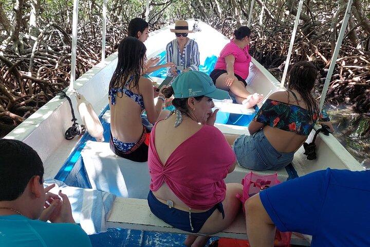 Roatan Eastern Odyssey Mangroves Tunnel, ATV e praia