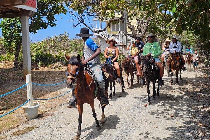 乗馬,ベイ諸島のジップラインと動物保護区